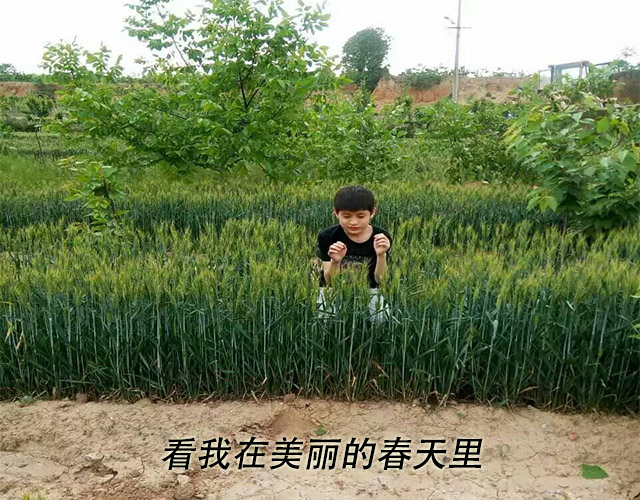 瑞奇特陳尊上個人照